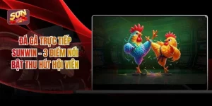 Đá Gà Trực Tiếp Sunwin – 3 Điểm Nổi Bật Thu Hút Hội Viên