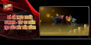 Đá Gà Trực Tuyến Sunwin - Top 03 Điểm Tạo Sức Hút Bền Vững