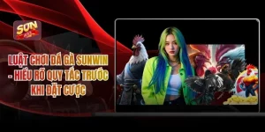 Luật Chơi Đá Gà Sunwin – Hiểu Rõ Quy Tắc Trước Khi Đặt Cược