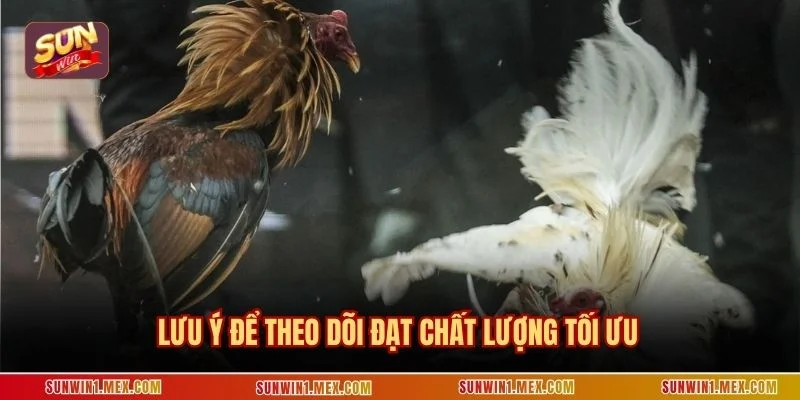 Lưu ý để theo dõi đạt chất lượng tối ưu