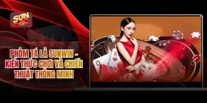 Phỏm Tá Lả SUNWIN - Kiến Thức Chơi Và Chiến Thuật Thông Minh