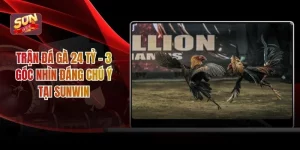 Trận Đá Gà 24 Tỷ – 3 Góc Nhìn Đáng Chú Ý Tại Sunwin