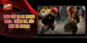 Truc Tiep Da Ga Thomo 2025 - Thông Tin, Góc Nhìn Và Sunwin