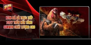 Xem Đá Gà Trực Tiếp 24/7 Trên Nền Tảng Sunwin Chất Lượng Cao
