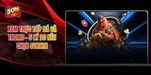 Xem Trực Tiếp Đá Gà Thomo – 5 Lý Do Nên Chọn Sunwin